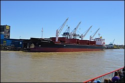 DSC_0038.JPG