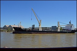 DSC_0039.JPG
