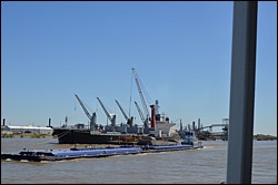 DSC_0041.JPG