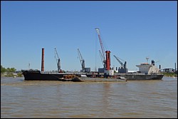 DSC_0042.JPG