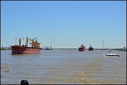 DSC_0046.JPG