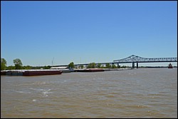 DSC_0050.JPG