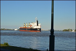 DSC_0058.JPG