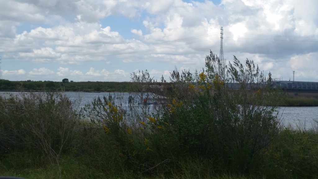 DSC_0001a.jpg
