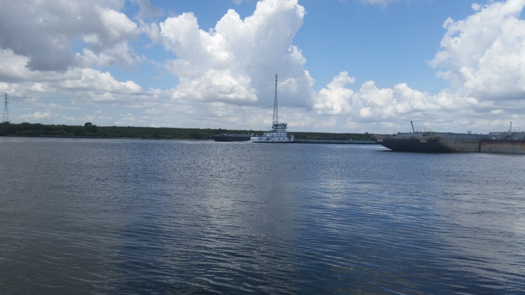 DSC_0001d.jpg