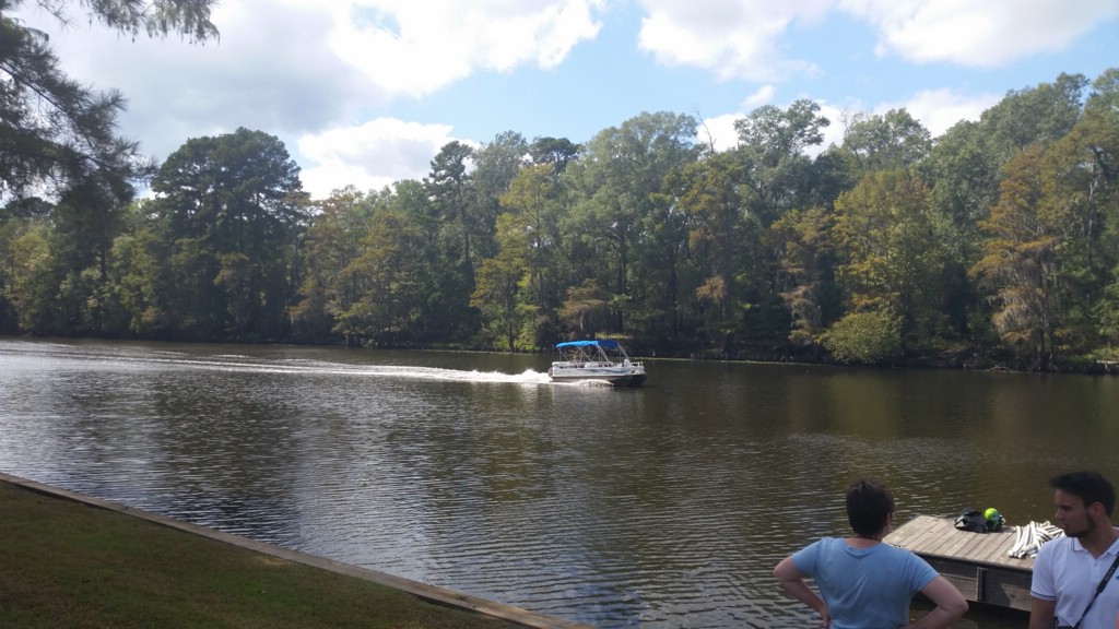 DSC_0041a.jpg