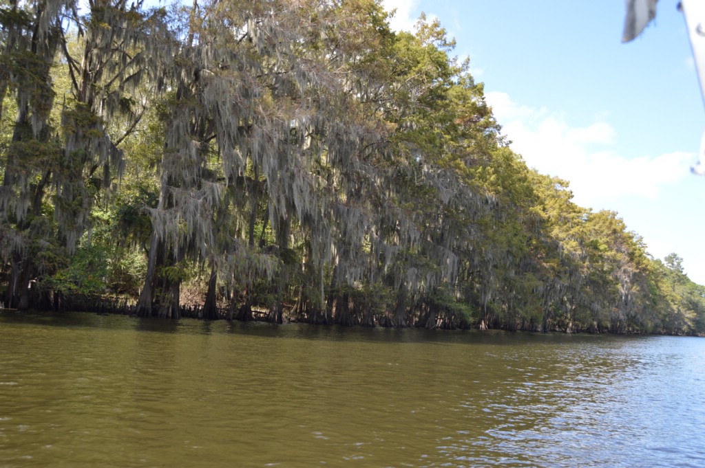 DSC_0050.JPG