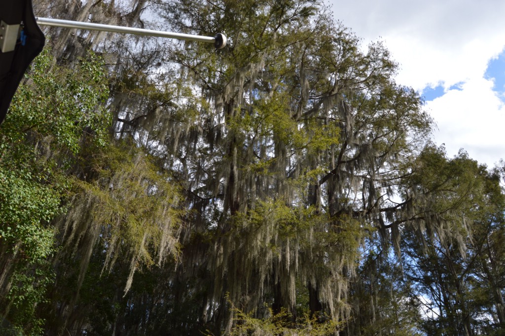 DSC_0056.JPG