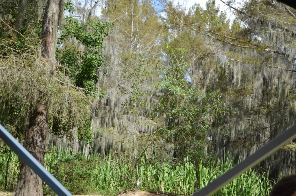 DSC_0058.JPG