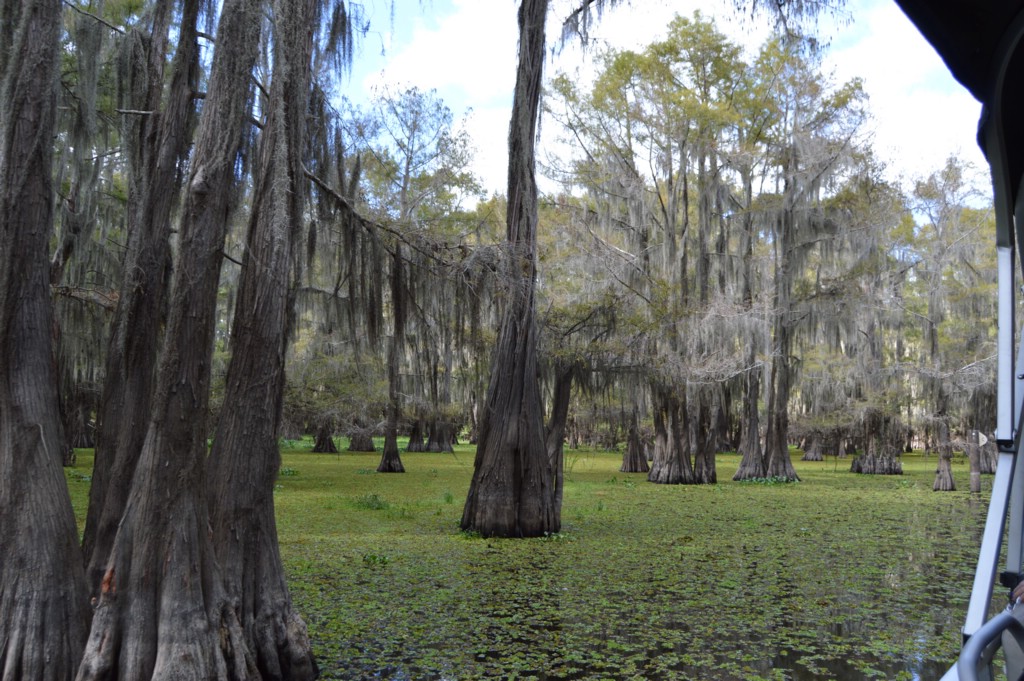 DSC_0066.JPG