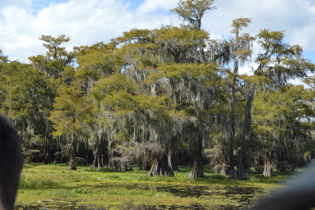 DSC_0072.JPG