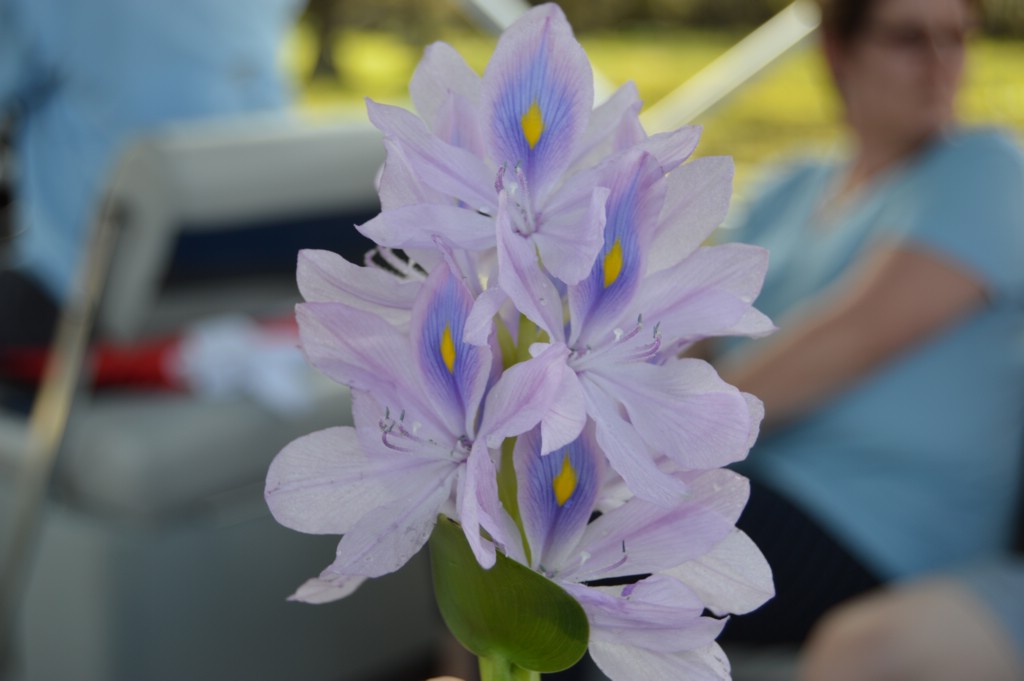 DSC_0074.JPG