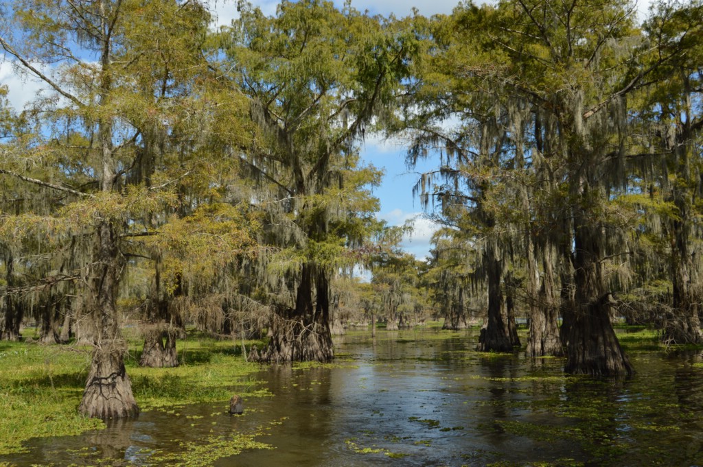 DSC_0076.JPG