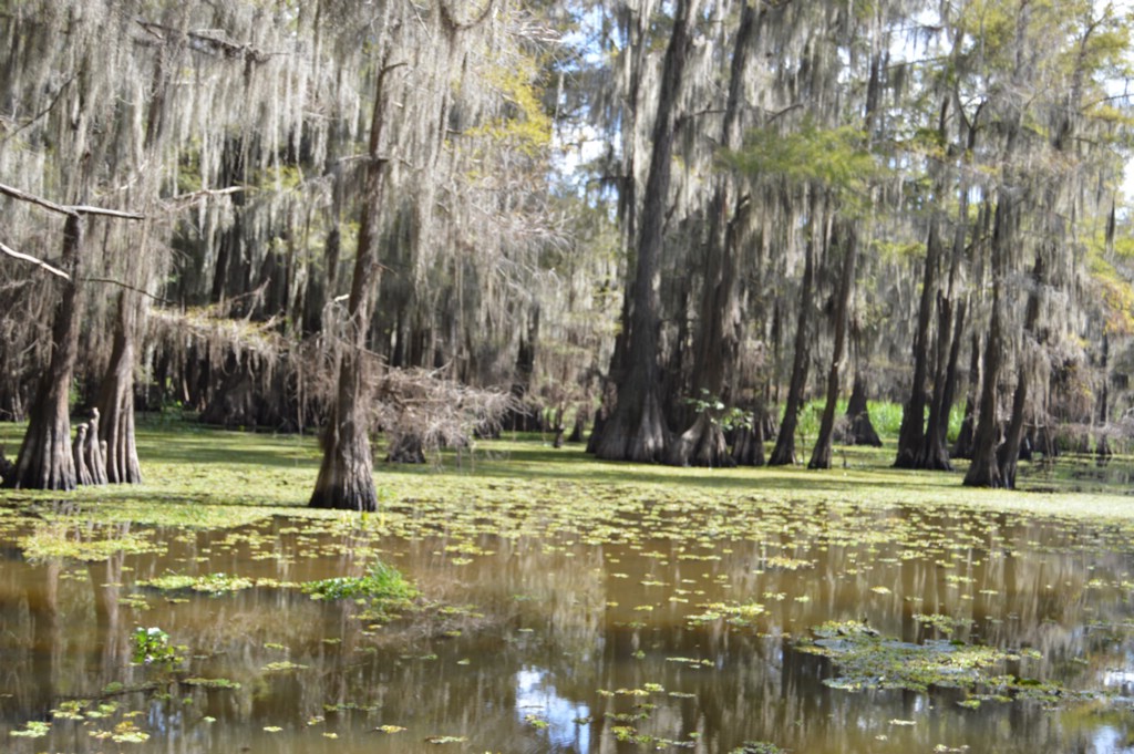 DSC_0081.JPG