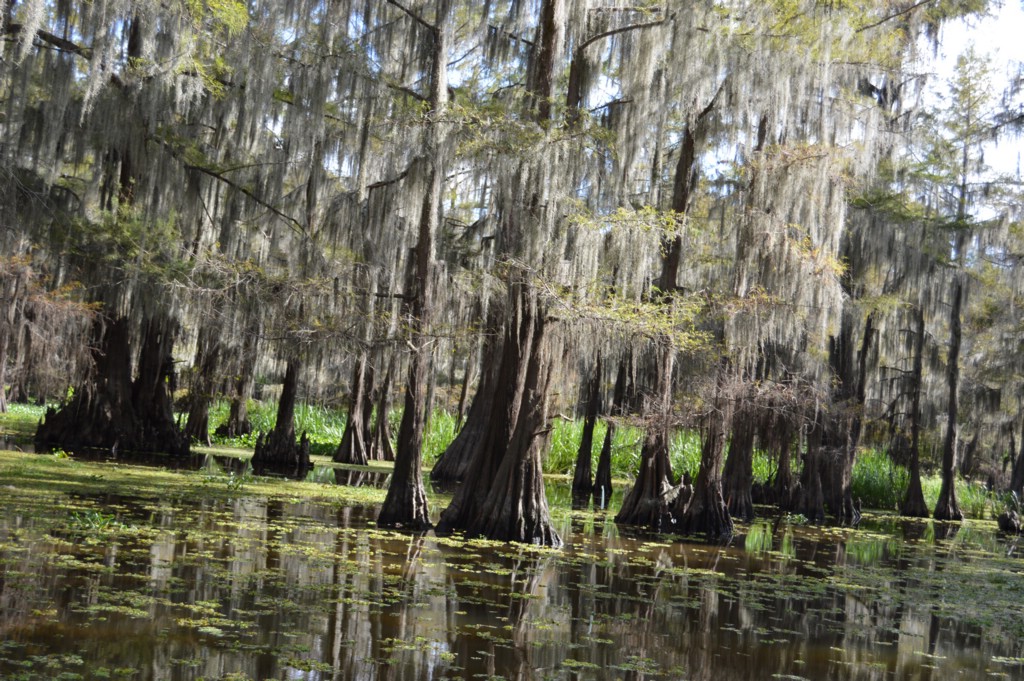 DSC_0082.JPG