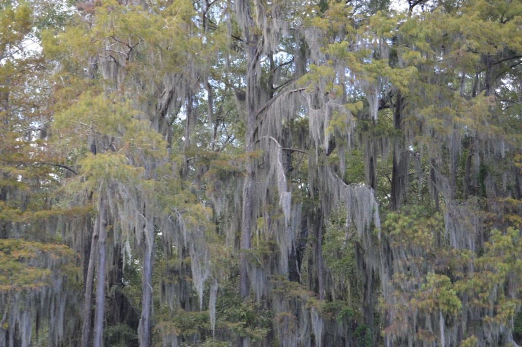 DSC_0089.JPG