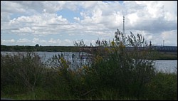 DSC_0001a.jpg