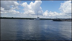 DSC_0001d.jpg