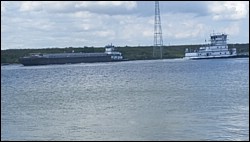 DSC_0001e.jpg