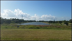DSC_0032c.jpg