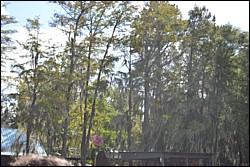 DSC_0048.JPG