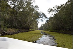 DSC_0055.JPG