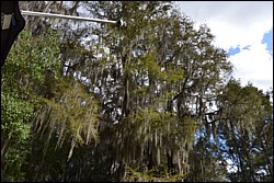 DSC_0056.JPG