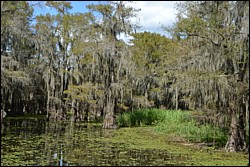 DSC_0059.JPG