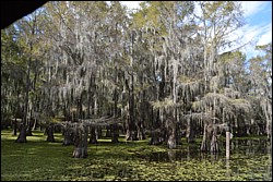 DSC_0060.JPG