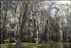 DSC_0063.JPG