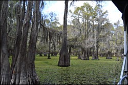 DSC_0066.JPG