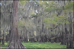 DSC_0070.JPG