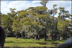 DSC_0072.JPG