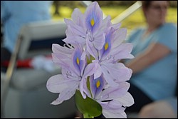 DSC_0074.JPG