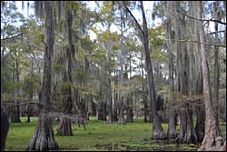 DSC_0079.JPG