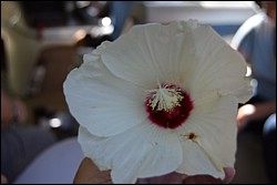 DSC_0083.JPG