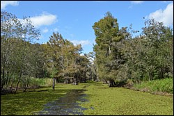 DSC_0084.JPG