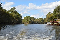 DSC_0087.JPG