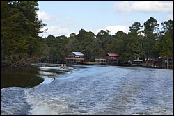 DSC_0090.JPG