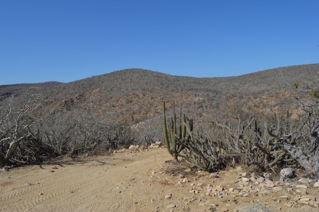 DSC_0005.JPG