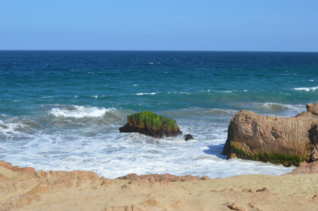 DSC_0010.JPG