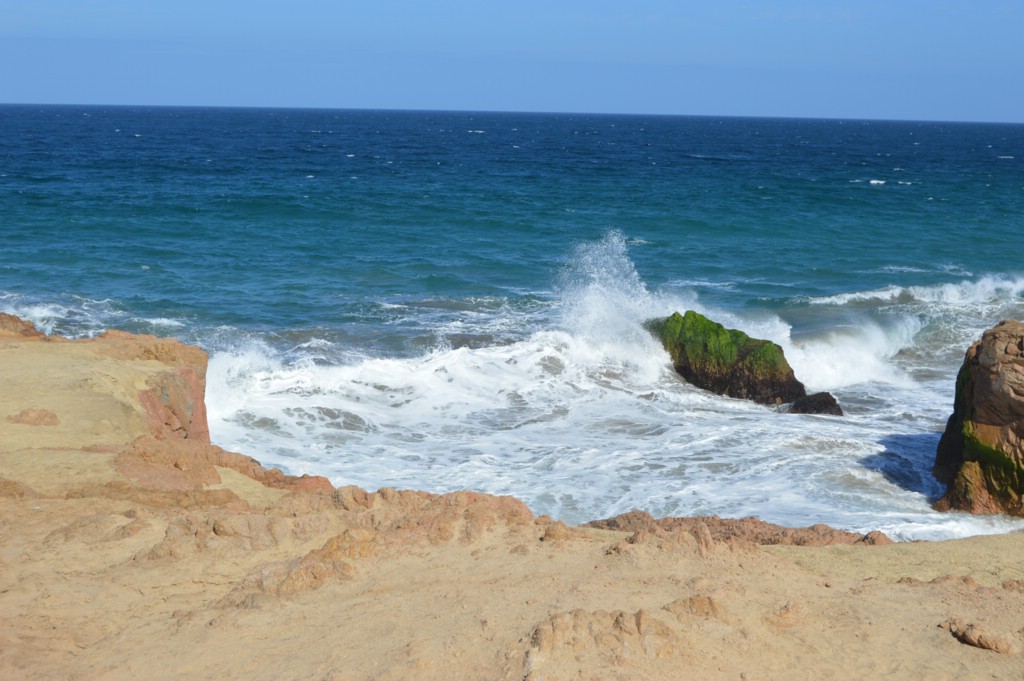 DSC_0011.JPG