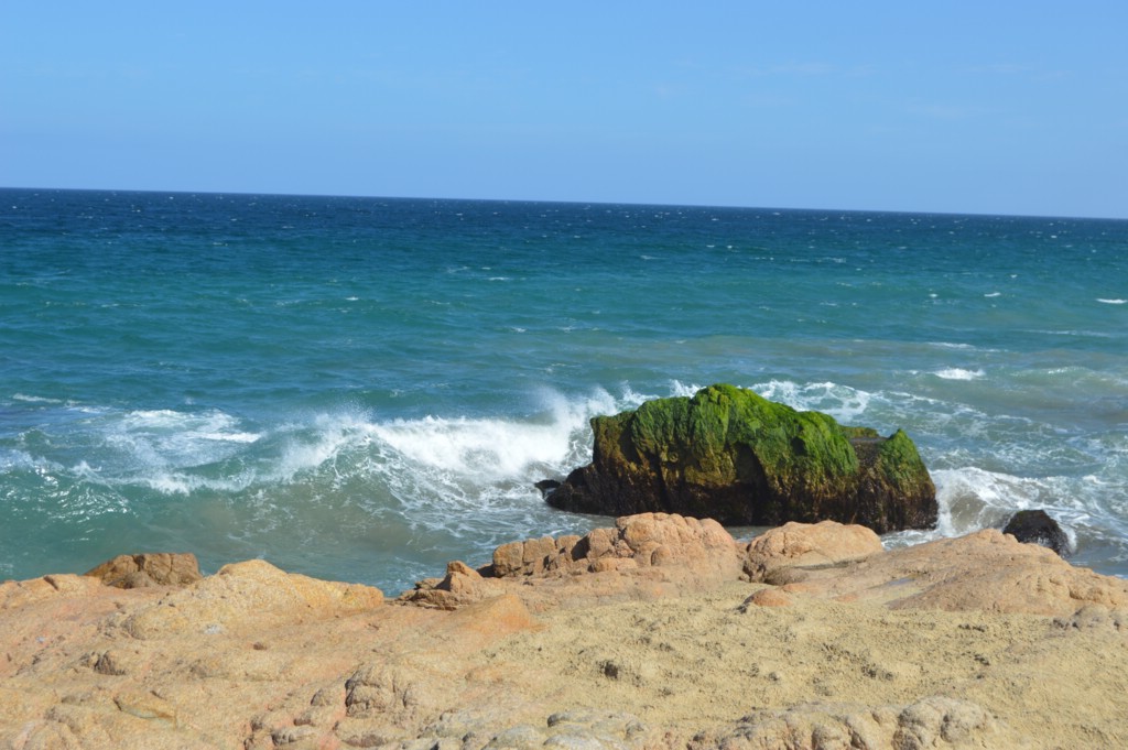 DSC_0020.JPG