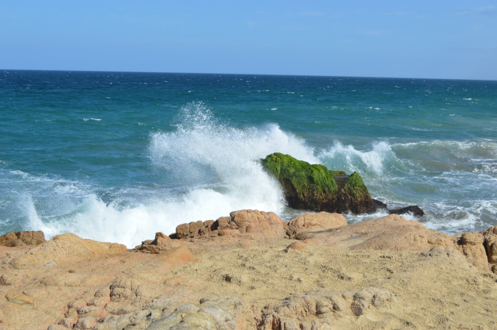 DSC_0021.JPG