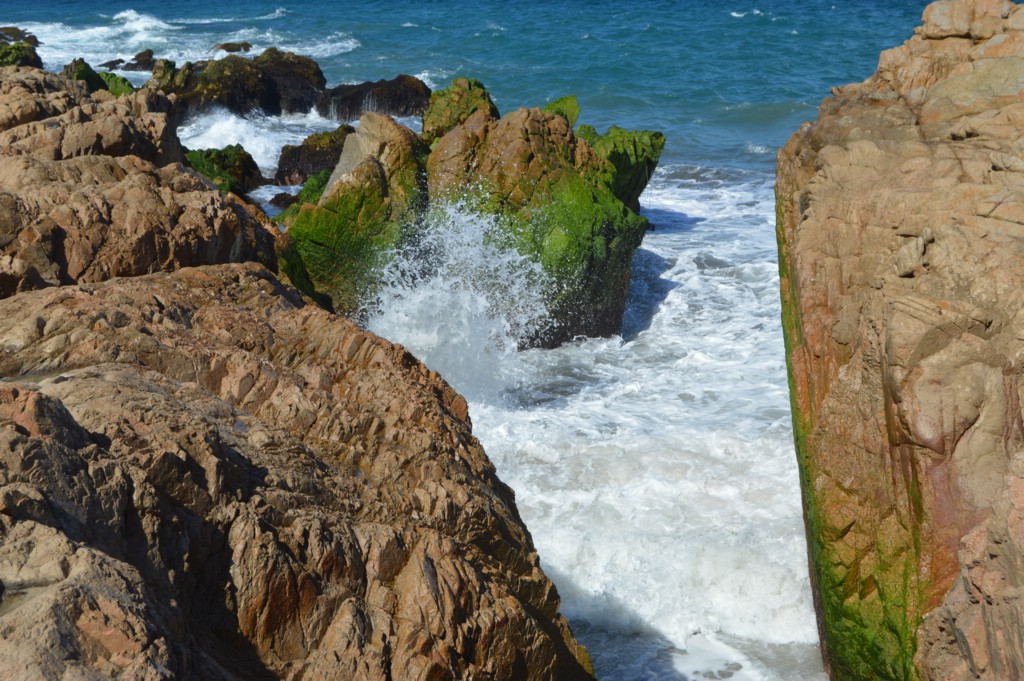 DSC_0024.JPG
