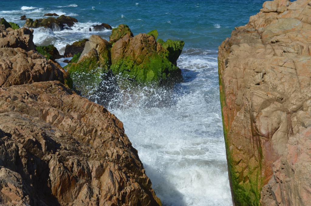 DSC_0026.JPG