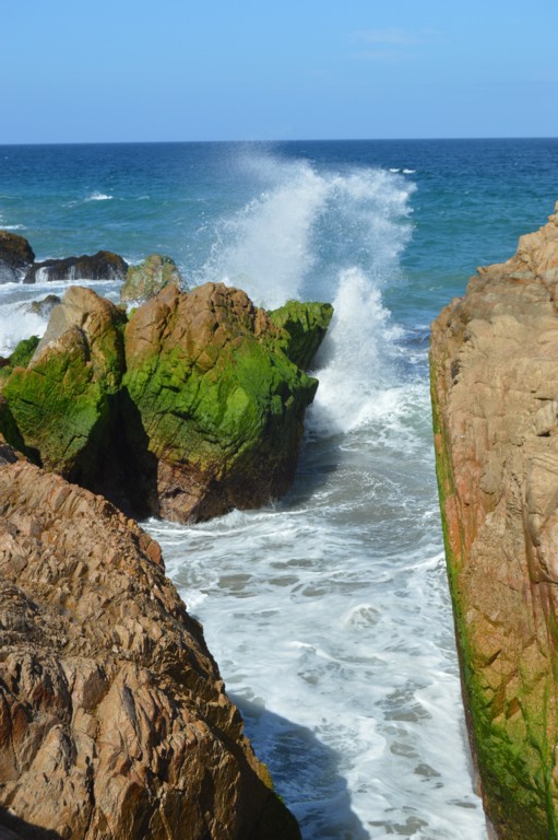 DSC_0028.JPG
