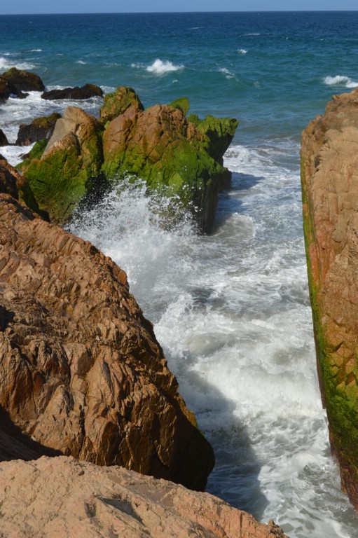 DSC_0030.JPG