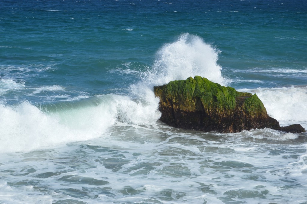 DSC_0035.JPG