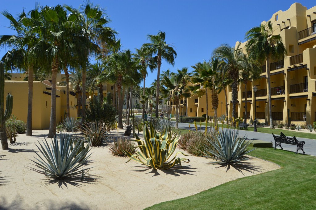 DSC_0065.JPG